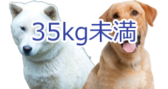 35kg未満