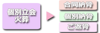 返骨